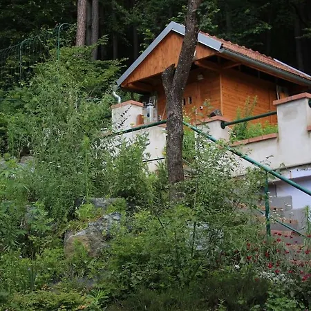 דירה Idyllisches Haus Mit Garten Und Saunahuette In Der Aigen (Wiener Neustadt)