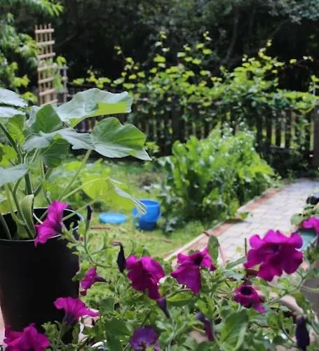 Idyllisches Haus Mit Garten Und Saunahuette In Der Aigen (Wiener Neustadt)
