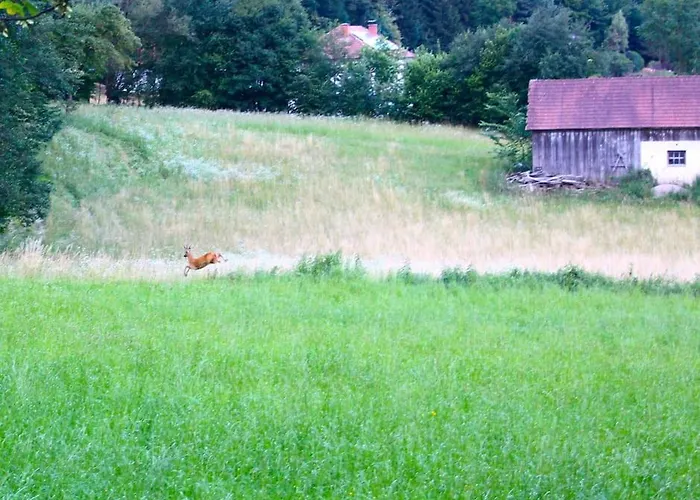 Idyllisches Haus Mit Garten Und Saunahuette In Der * Aigen (Wiener Neustadt)