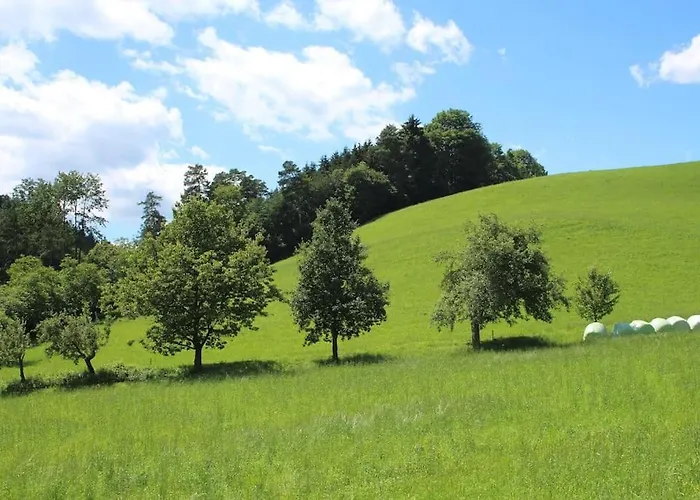 Lägenhet Idyllisches Haus Mit Garten Und Saunahuette In Der